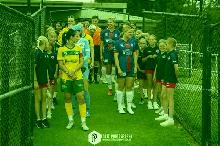 Casodex tablet
