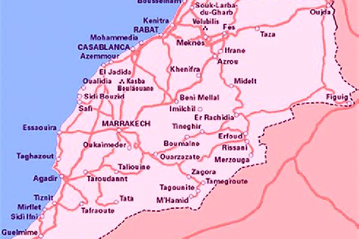 Celexa celex coronavirus pills