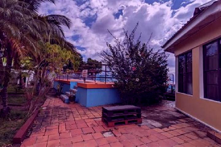 Celexa celexa and stomach issues medication