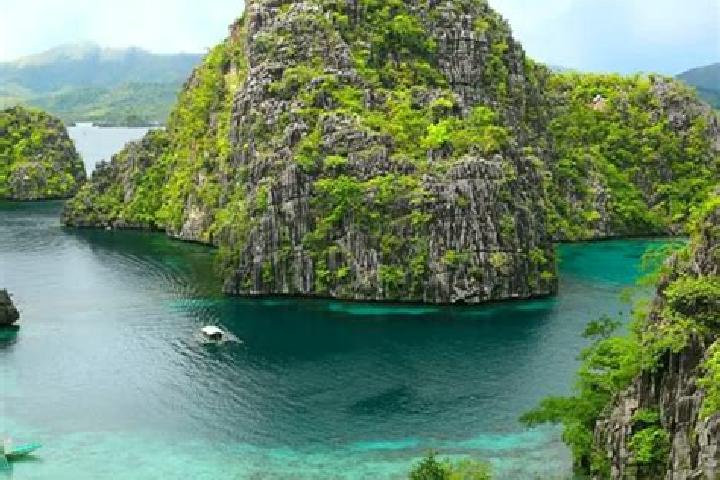 Celexa celexa grocesse medication