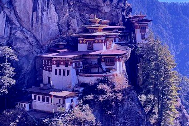 Celexa celexa how long to take tablet