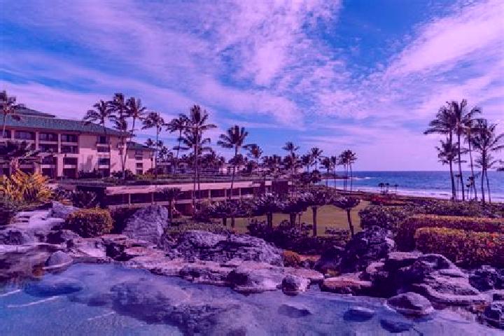 Celexa celexa mixed with flexeril and thorazine pharmacy
