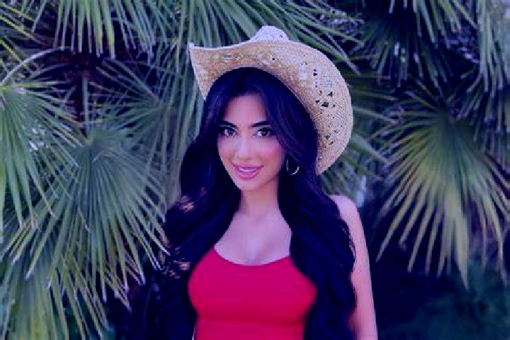 Celexa celexa or effexor pharmacy