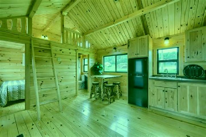 Celexa celexa overdose mg medication