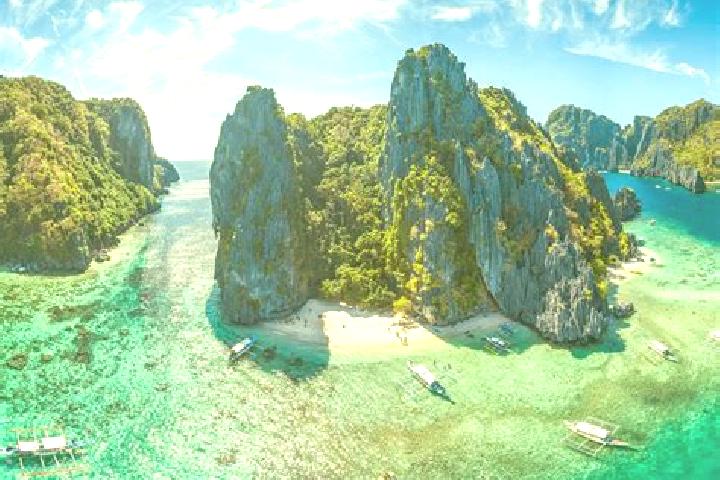 Celexa celexa rem sleep pharmacy