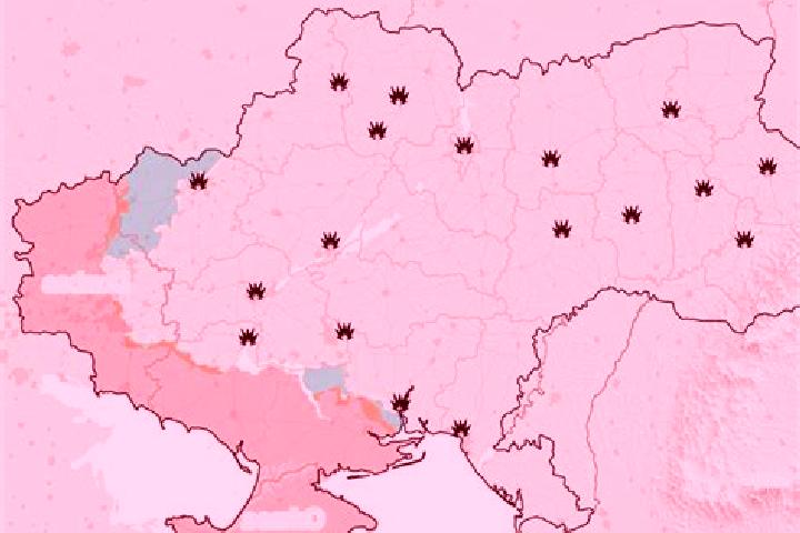 Celexa cold turkey celexa medication