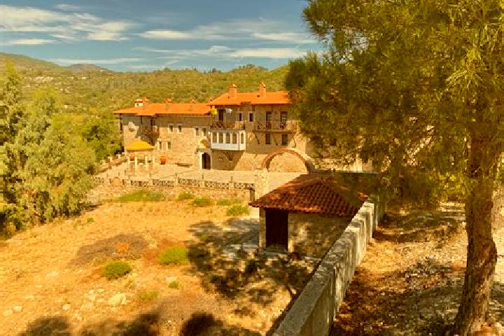 Celexa forgot to take celexa pills