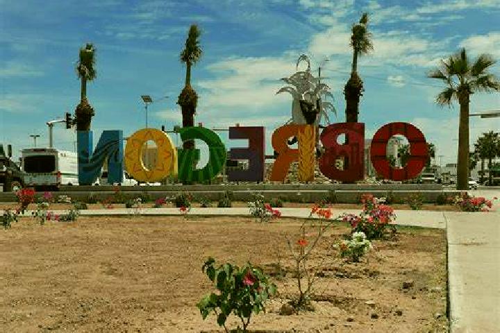 Celexa moxifloxacin&celexa pills