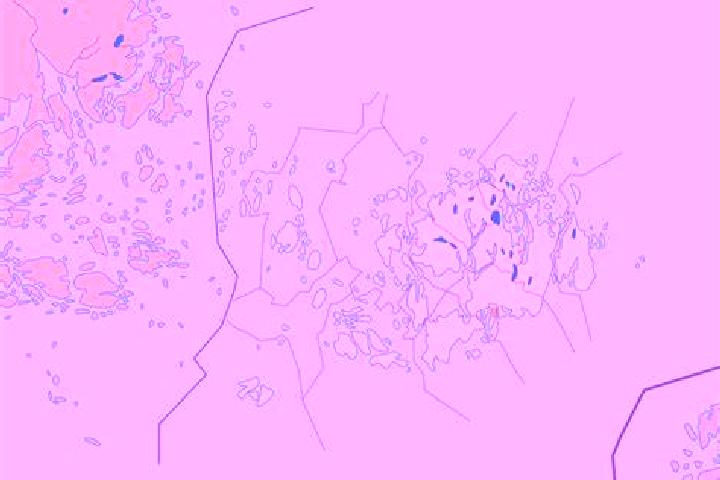 Champix does champix make you urinate more pharmacy