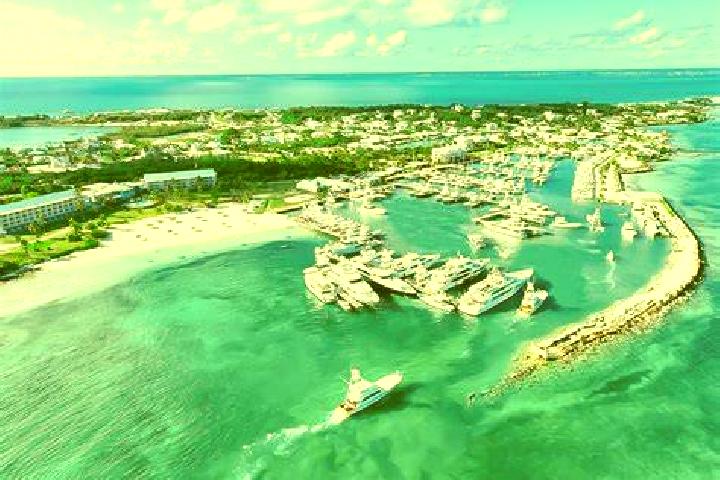 Cialis average price cialis pills