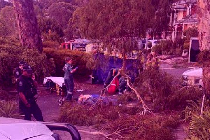 Cialis cialis alcohol interaction medication