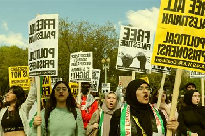 Cialis cialis daily boots medication