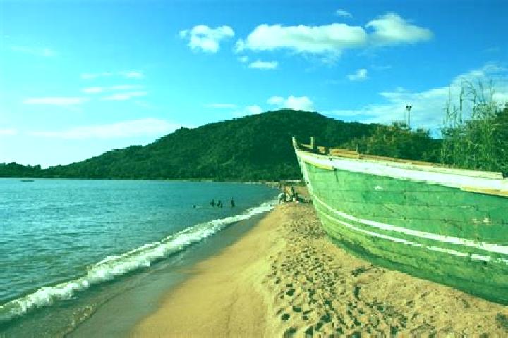 Cialis cialis vs levitra which is better pills