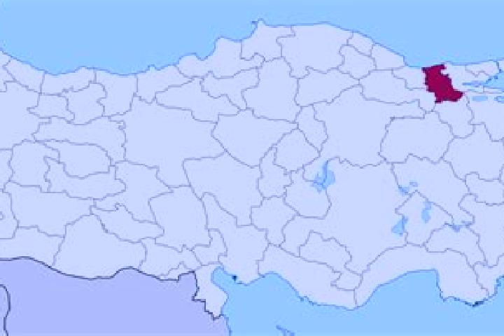 Fildena fildena 100 pills blog medication
