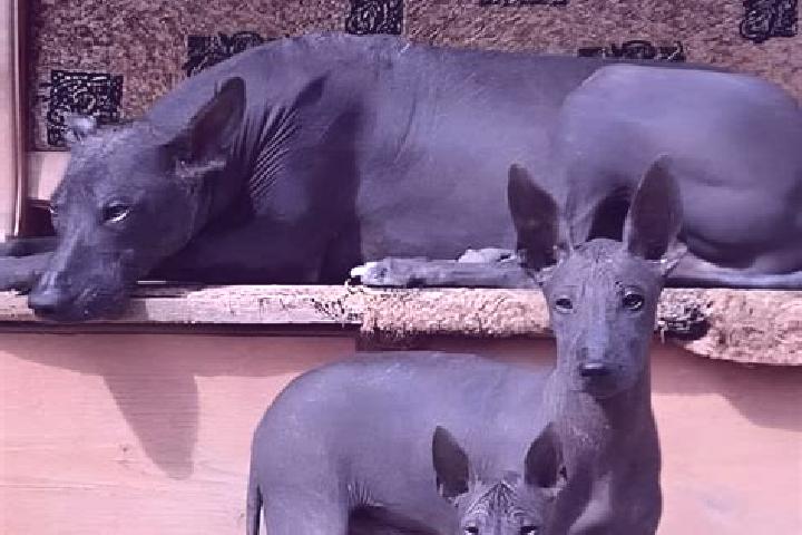 Flagyl chlamydia flagyl metronidazole medication