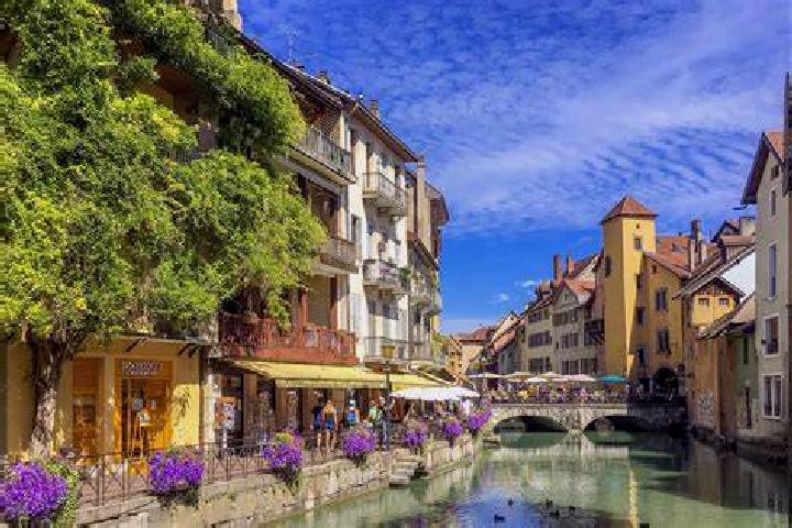 Flagyl does flagyl constipate dogs pharmacy
