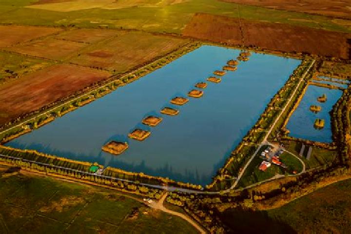 Flagyl flagyl dosage duration for dogs tablet