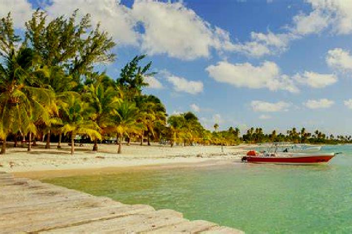 Flagyl flagyl dosage for infection pharmacy