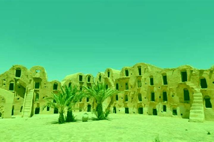 Flagyl flagyl for dogs without rx medication