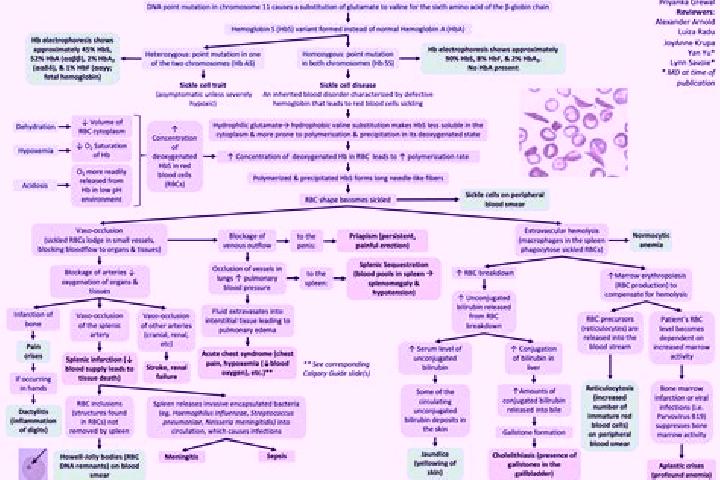 Kamagra how to buy kamagra jelly pharmacy
