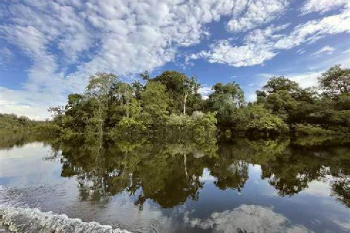 Kamagra kamagra harilosstalk medication