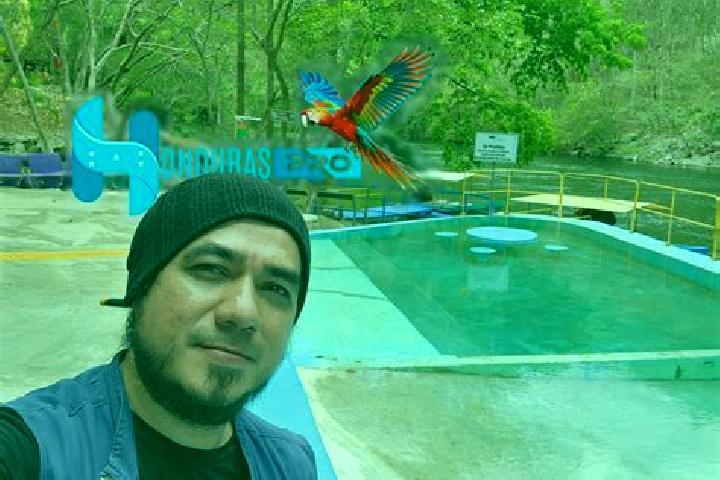Kamagra mychelle kamagra erome medication