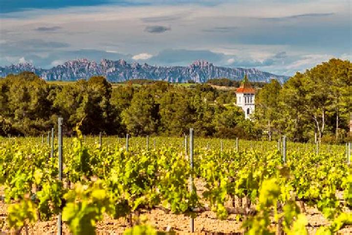 Lasix how does lasix effect electrolytes pharmacy