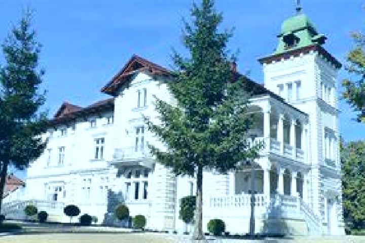 Lasix lasix and meloxicam medication