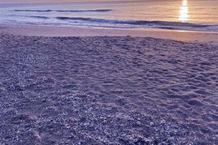 Levitra acheter levitra 10 mg pharmacy