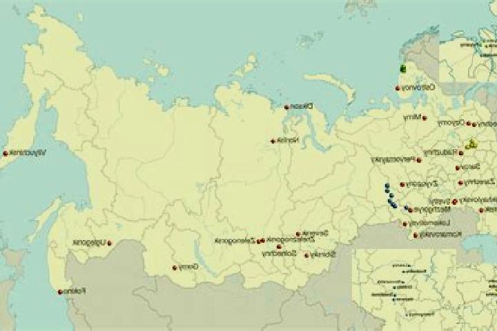 Levitra how often can i take levitra tablet