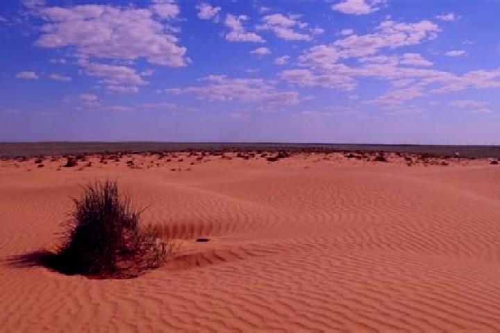Levitra levitra tablet size pharmacy