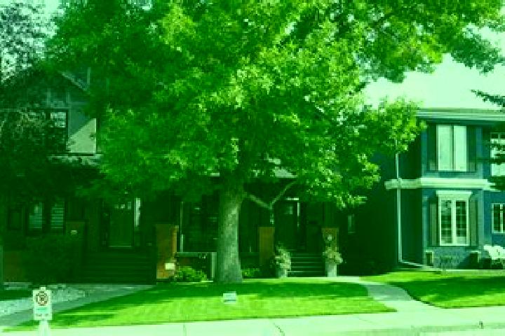 Neurontin can neurontin cause s pharmacy
