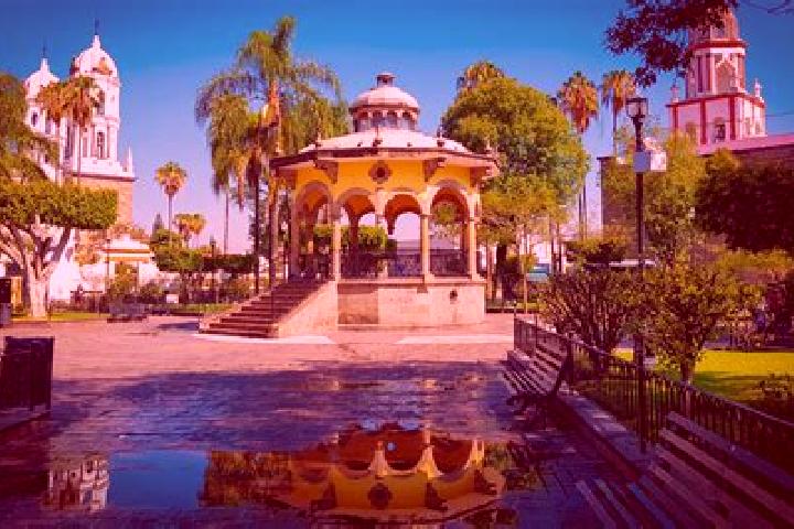 Neurontin neurontin dog dose pharmacy