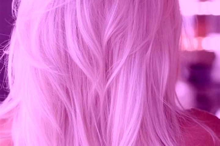 Prednisolone how long can a cat take prednisolone pharmacy