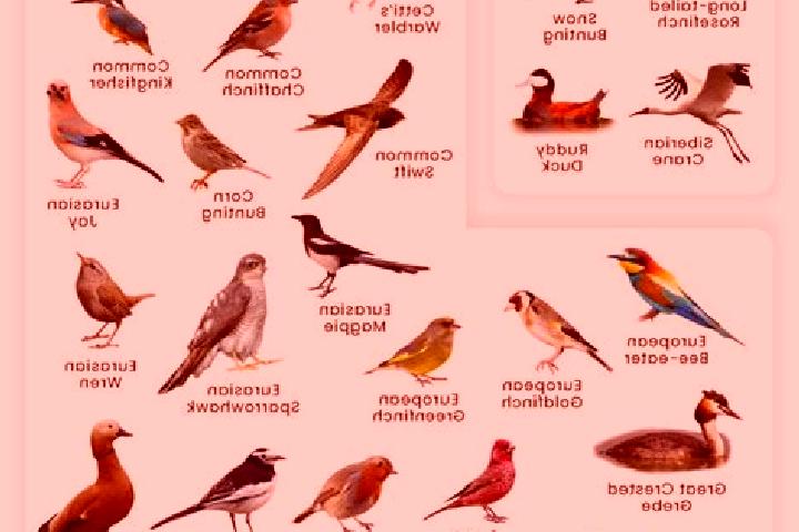Prednisolone prednisolone and headaches pills