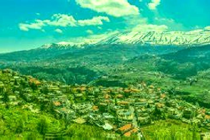 Prednisolone prednisolone dose for 3 year old pharmacy