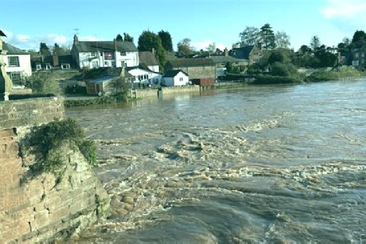 Prednisolone prednisolone monitoring pharmacy