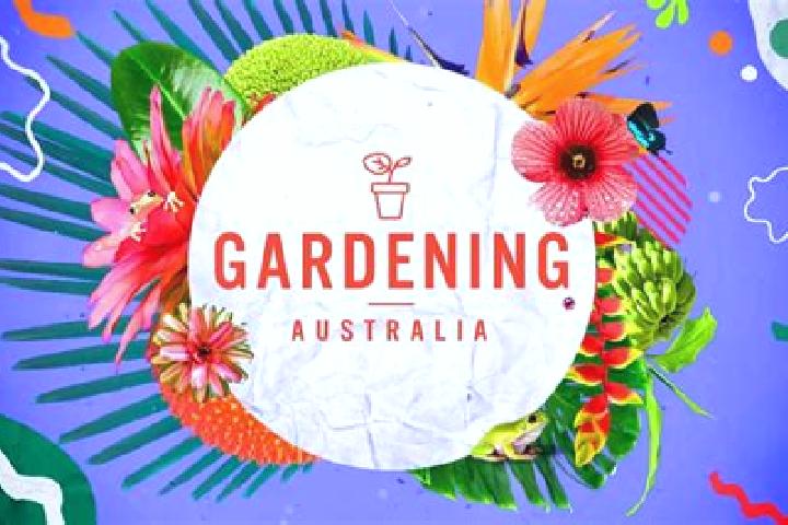 Prednisolone what are prednisolone eye drops used for pills
