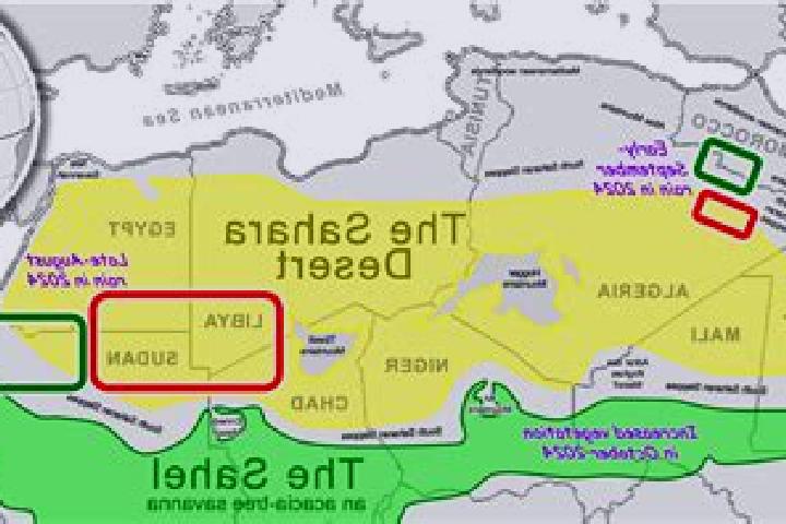 Propecia can propecia harm cats medication