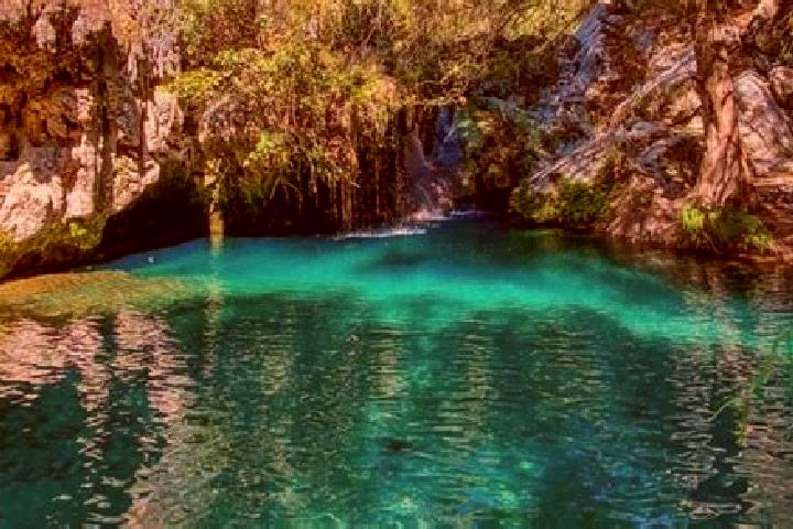 Propecia does propecia increase cholesterol tablet