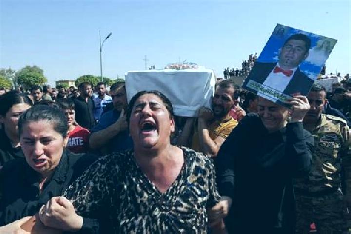 Propecia end of day propecia medication