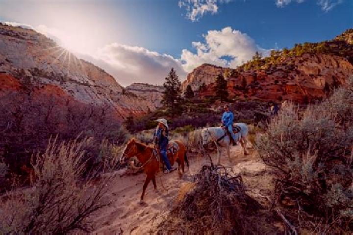 Propecia propecia after 9 month results on young pills