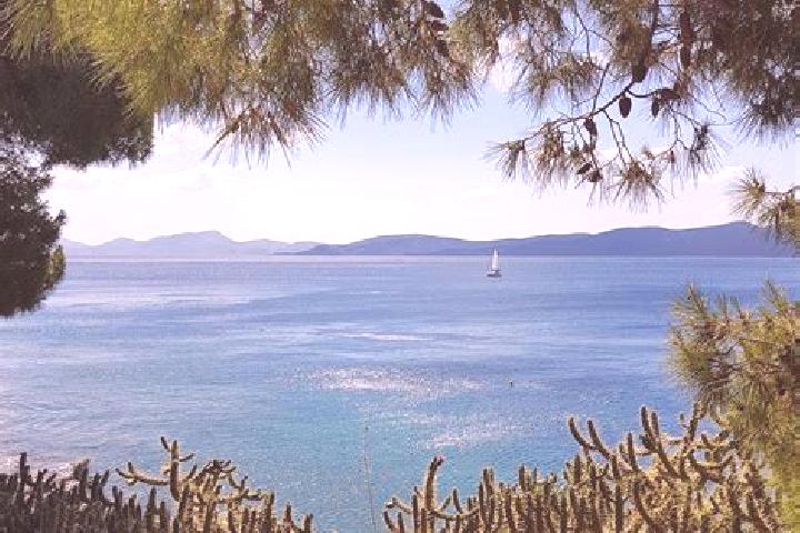 Propecia propecia prescription nyc medication