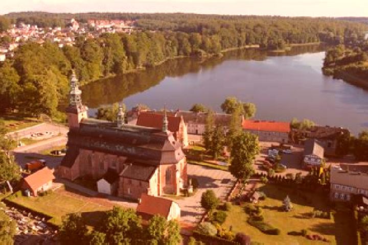 Provigil provigil effects birth control pills