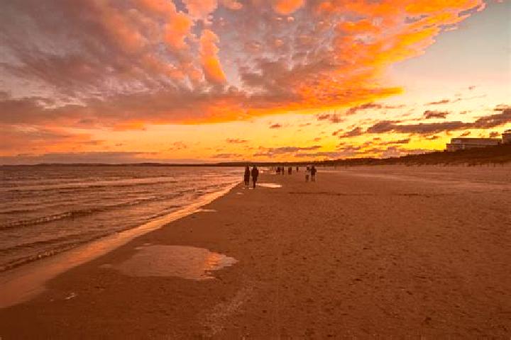 Provigil provigil focus drug pharmacy
