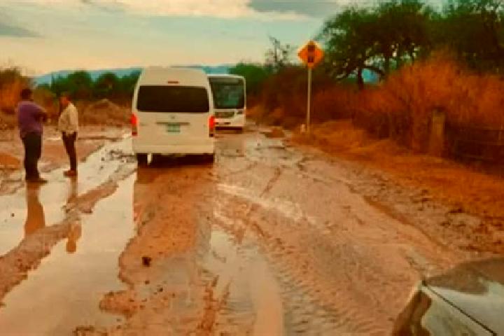 Provigil provigil for daytime sleepiness tablet