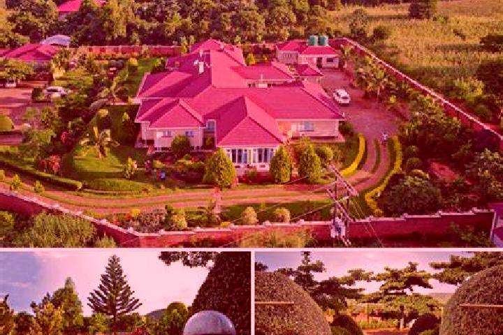 Stromectol stromectol parasites pills