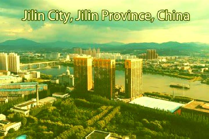 Stromectol what is in stromectol pills