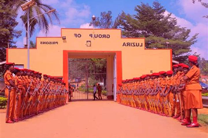 Viagra can you take priligy and viagra at the same time medication